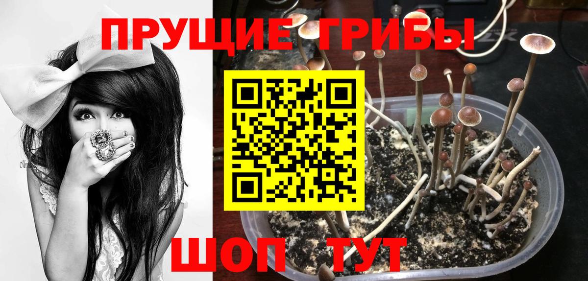 купить наркотик  Галлюциногенные грибы ЛСД  Вход с VPN  Сыктывкар  Псилоцибиновые грибы Magic Shrooms 