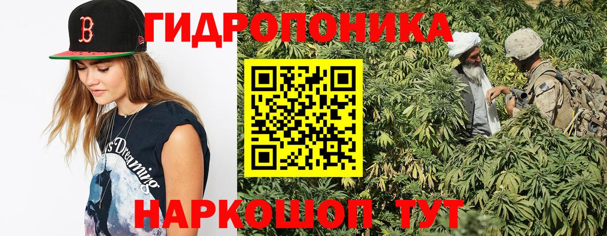 Марихуана ГИДРОПОН  Шишки марихуана White Widow  Вход с VPN  Сыктывкар 
